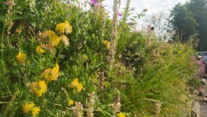 mur végétal reprenant différentes plantes pour une exposition au sud.