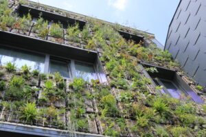 mur végétal liege novacitis