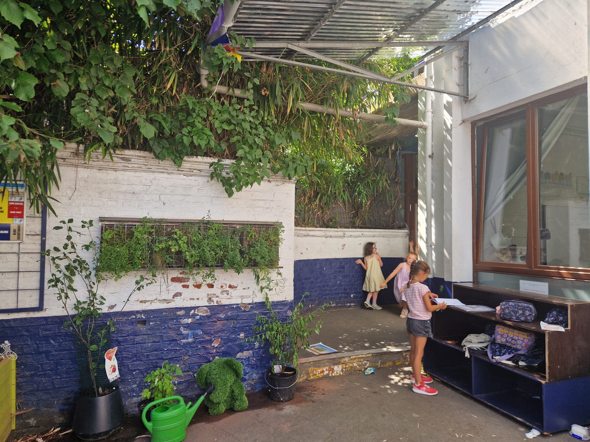 Un petit mur végétal pour faire entrer la nature à l’école