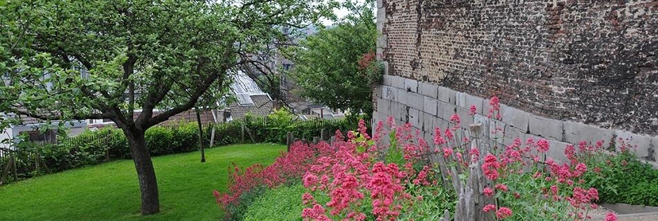 pcdn liege